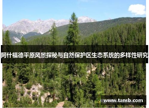 阿什福德平原风景探秘与自然保护区生态系统的多样性研究