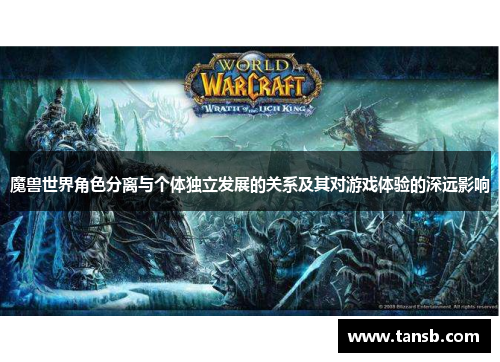 魔兽世界角色分离与个体独立发展的关系及其对游戏体验的深远影响
