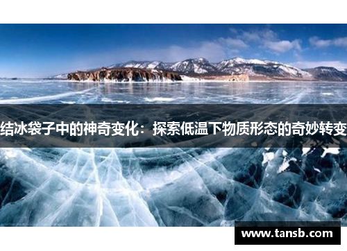 结冰袋子中的神奇变化：探索低温下物质形态的奇妙转变